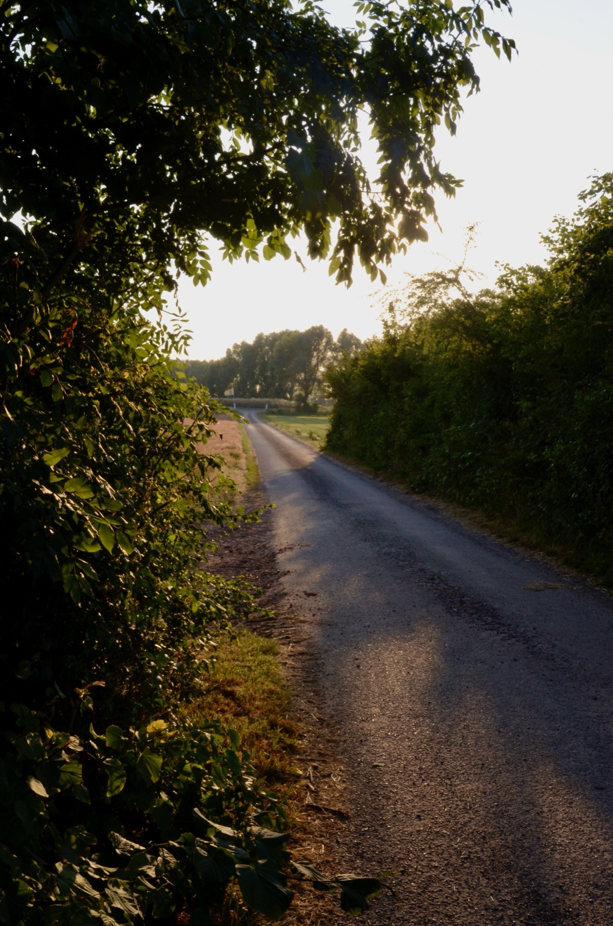 Jagershof — photo 3