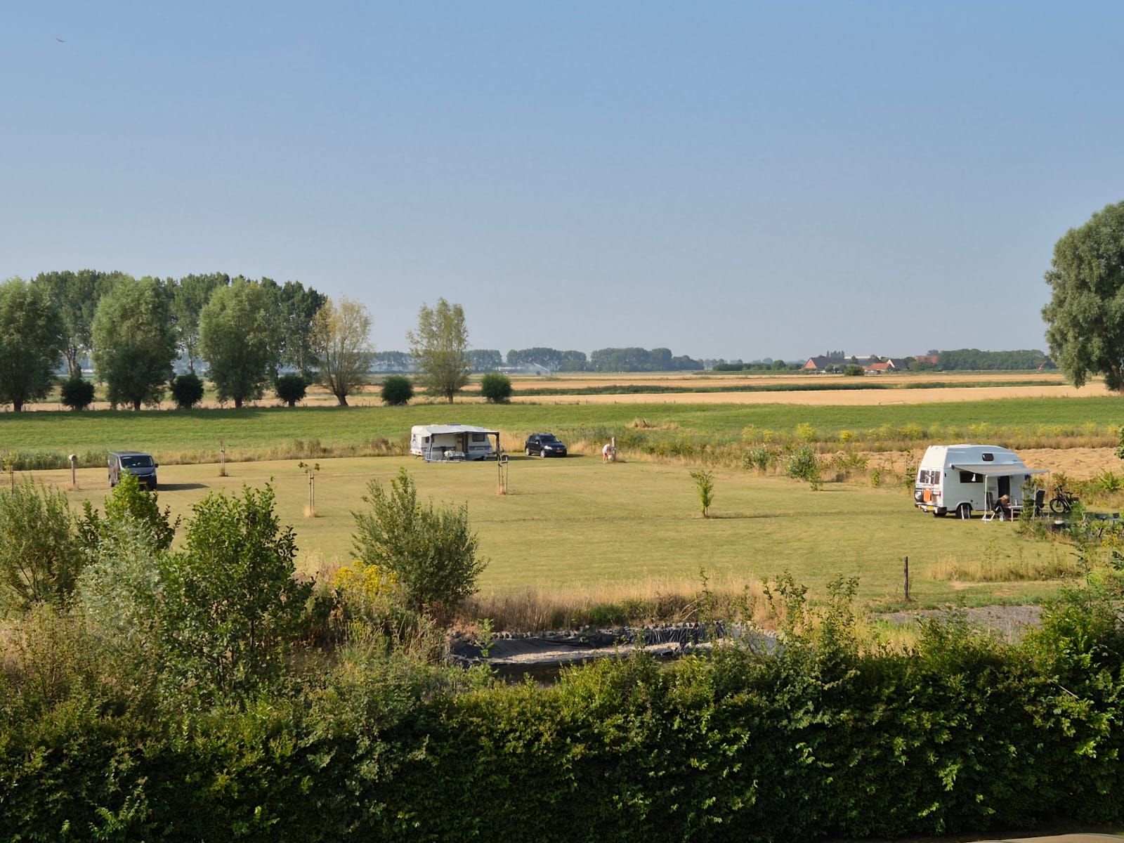 Natuurveldje met open ruimte en groen